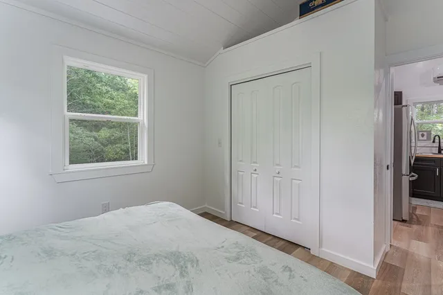 a view of a garden with large trees