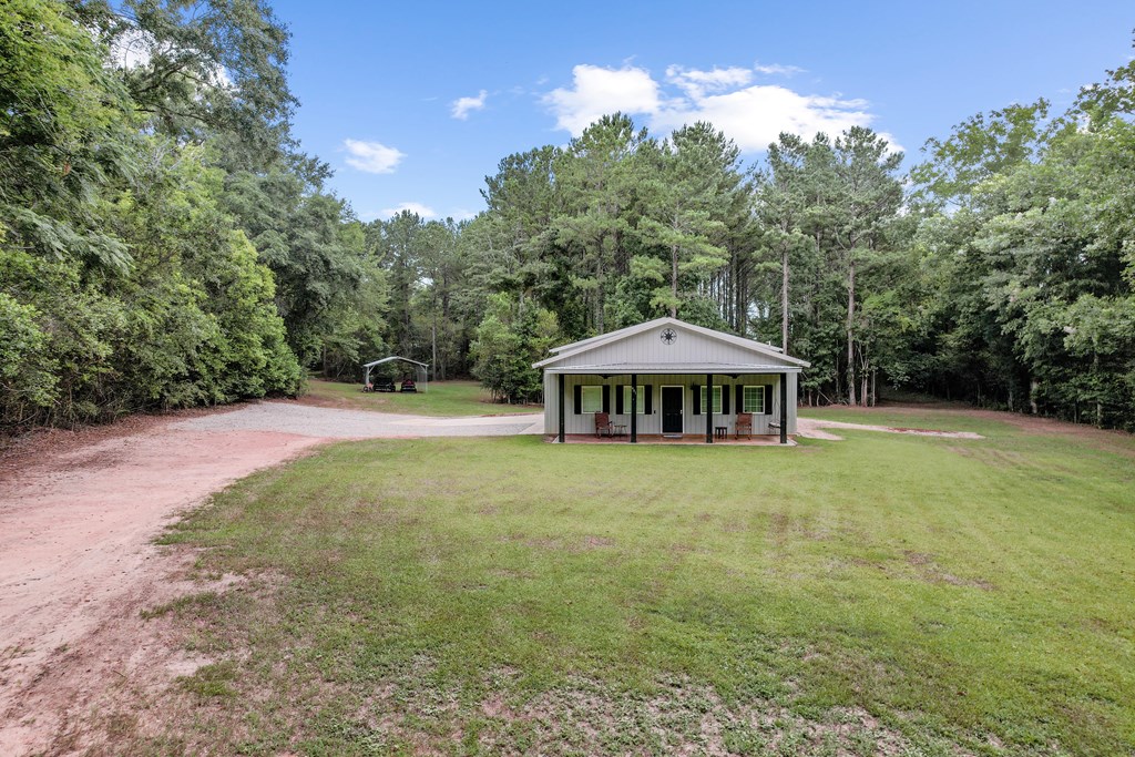 401 Macedonia Road Hartford, AL 36344 - Photo 5 of 61