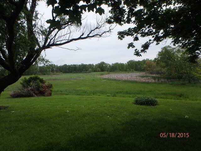 557 Old Meadow Road Matteson, IL 60443 - Photo 3 of 16 a view of a field of grass and a tree