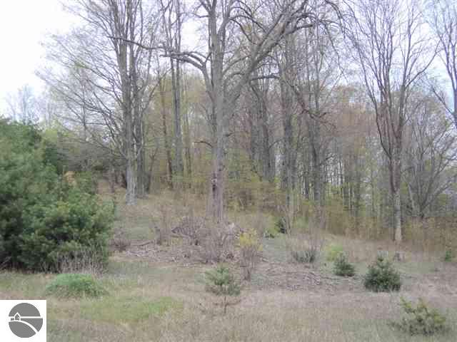 8560 West 10 Road Mesick, MI 49668 - Photo 18 of 25 1740849-17.JPG
