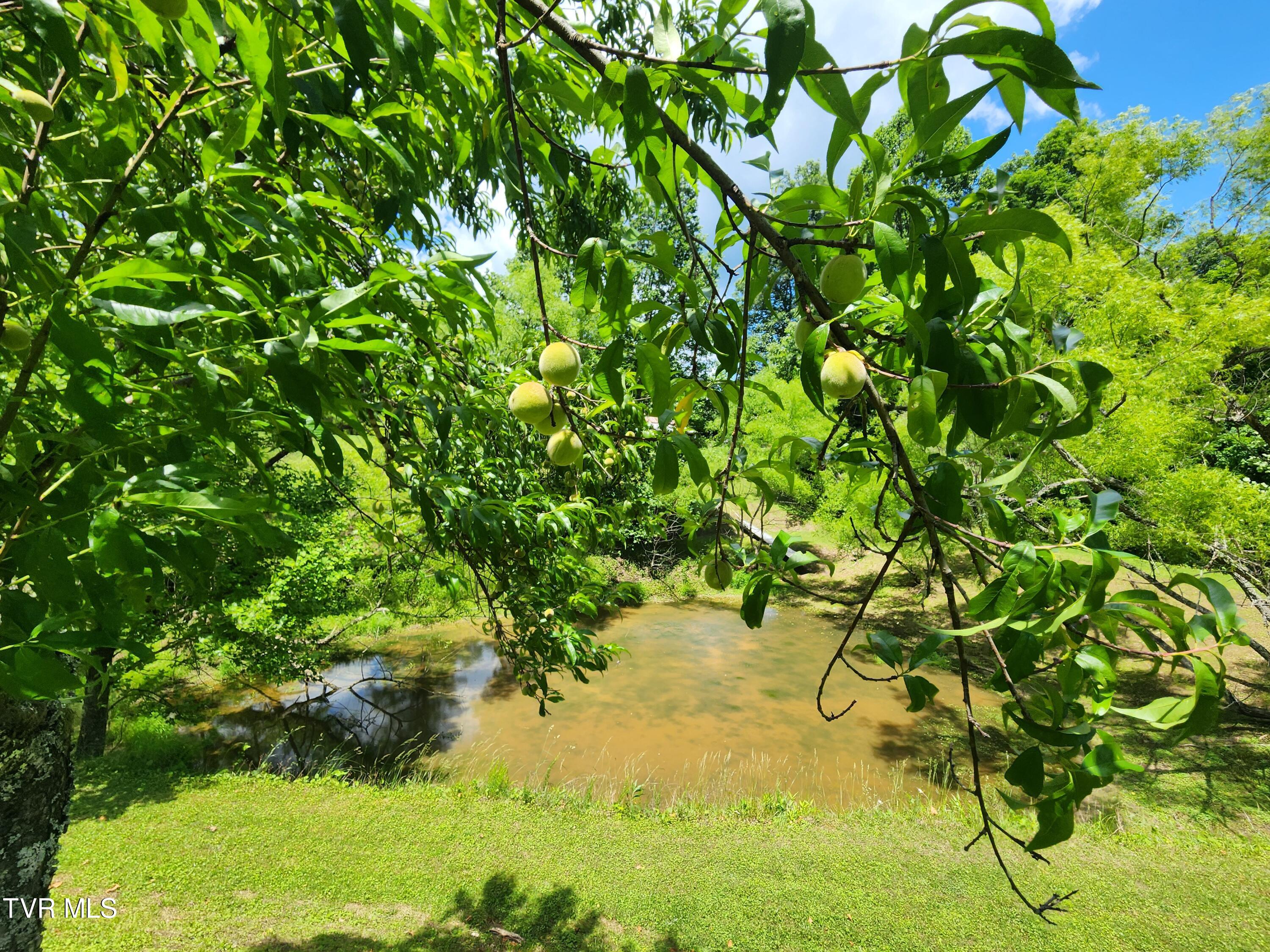 639 Dream Farm Road Birchleaf, VA 24220 - Photo 36 of 153 20240529_123350