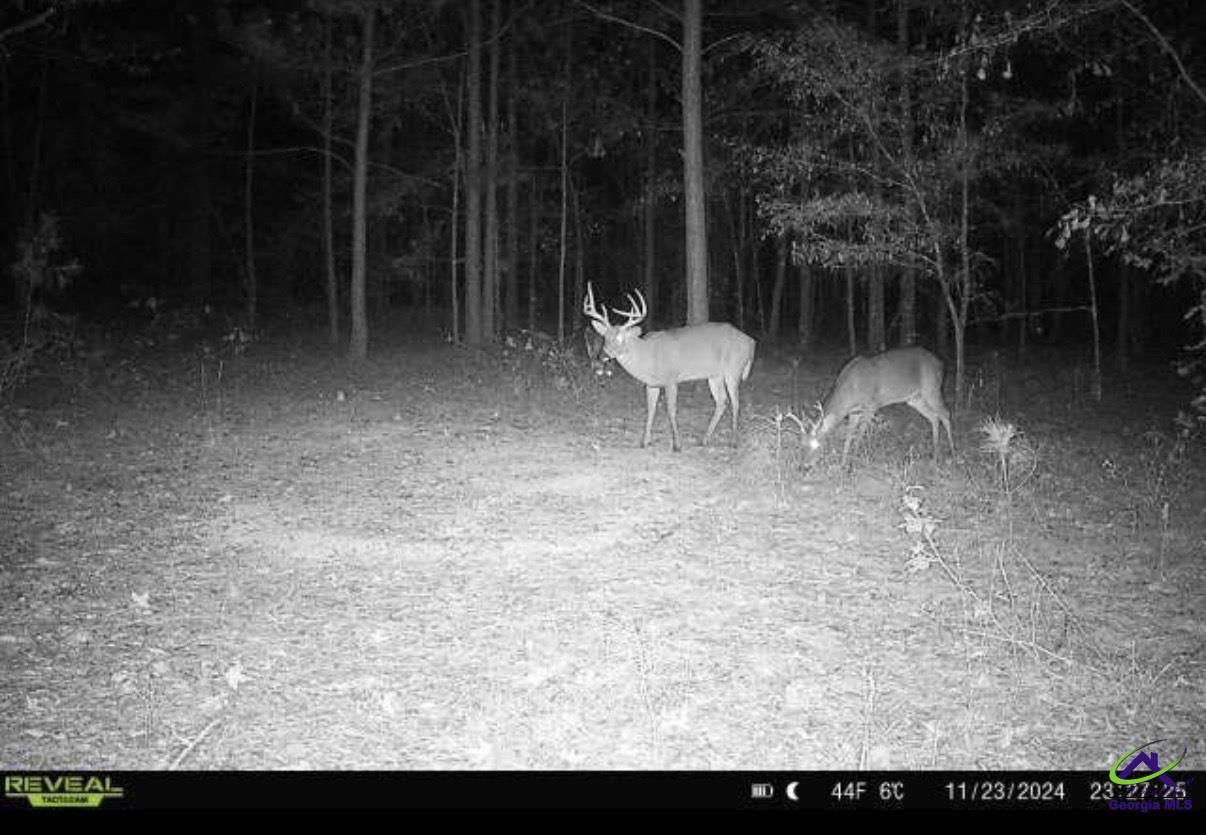915 Sunhill Road Sandersville, GA 31082 - Photo 9 of 24