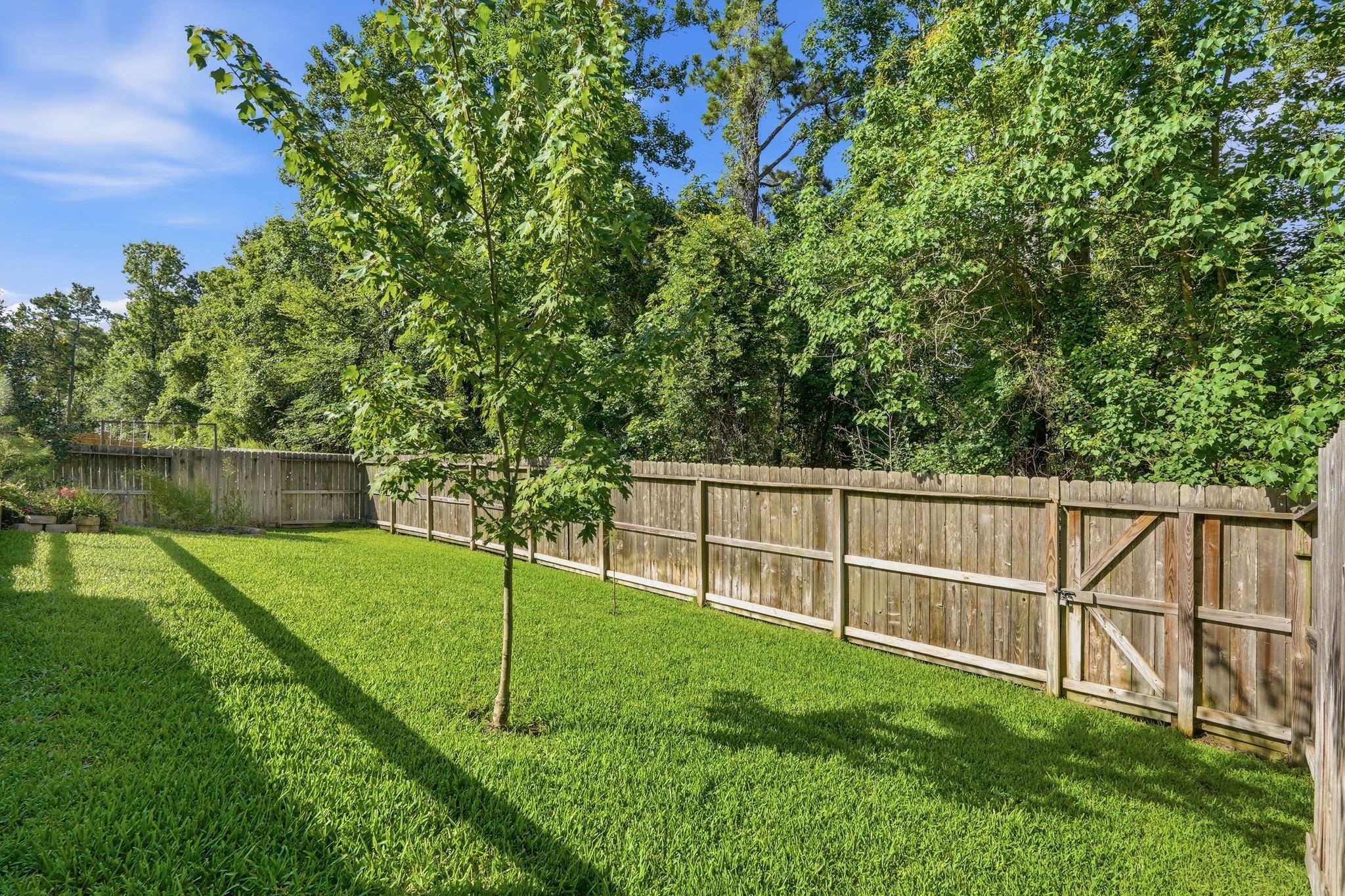 7919 Augusta Creek Court Spring, TX 77389 - Photo 28 of 32