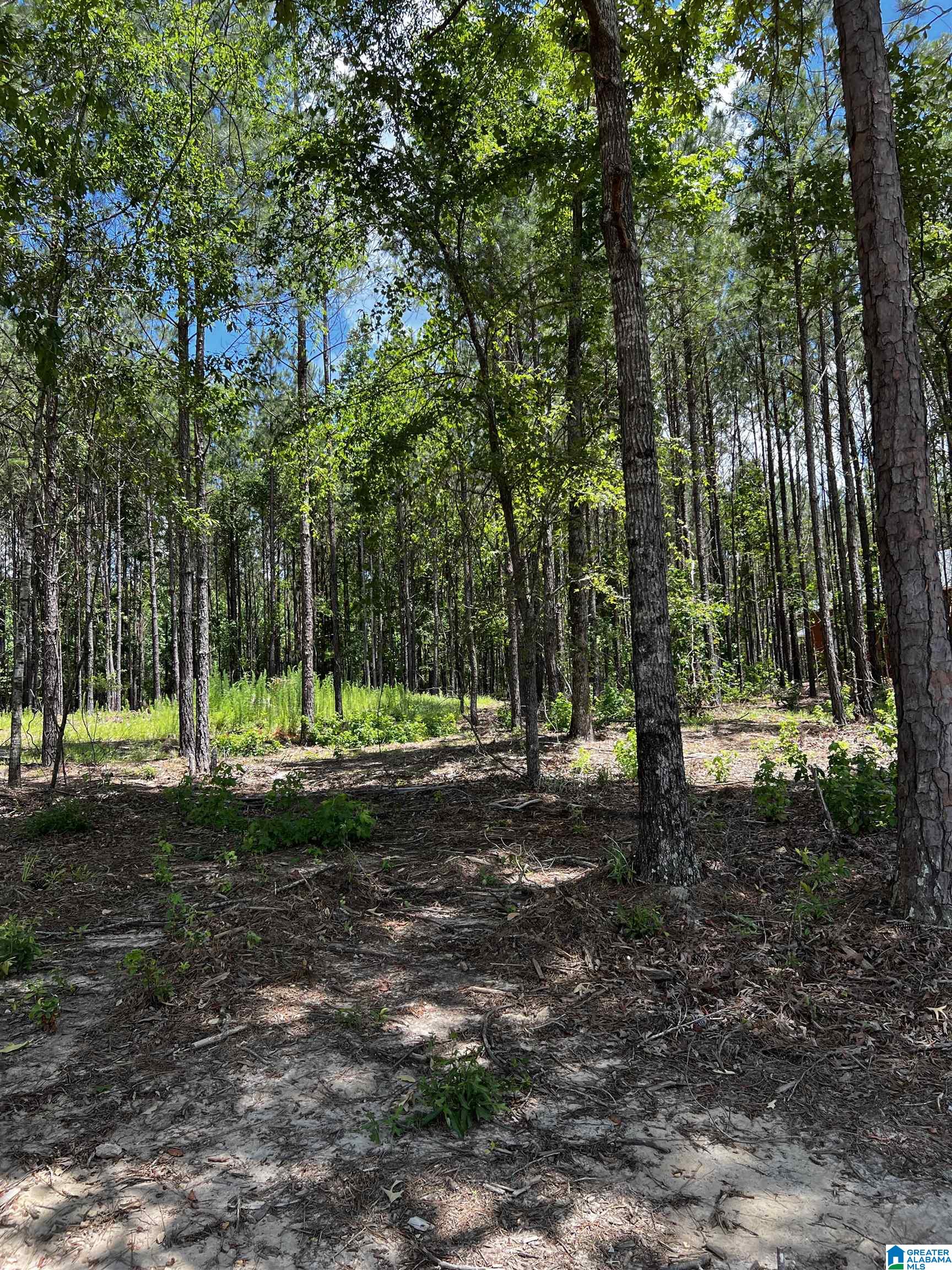 0 Daybreak Curve, Unit 5 Rockford, AL 35136 - Photo 9 of 10