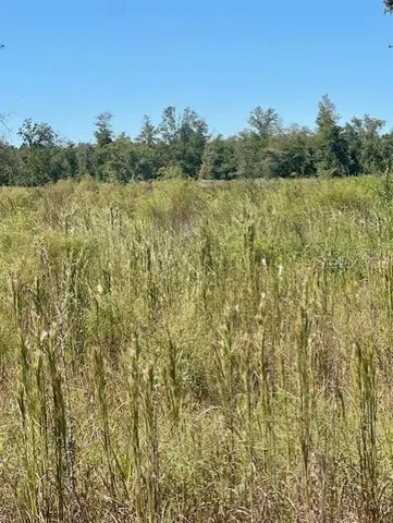 $349,000 | Northeast 35th Avenue, Trenton, FL 32693