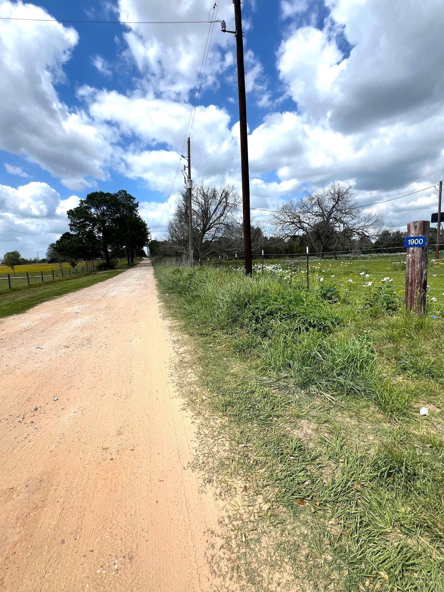 1900 Hluchan Road Sealy, TX 77474 - Photo 2 of 10