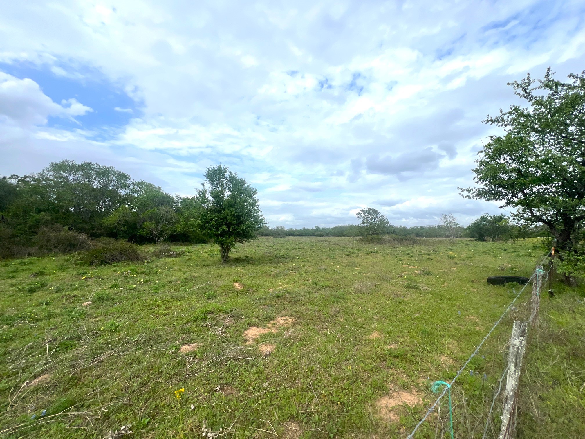 1900 Hluchan Road Sealy, TX 77474 - Photo 3 of 10