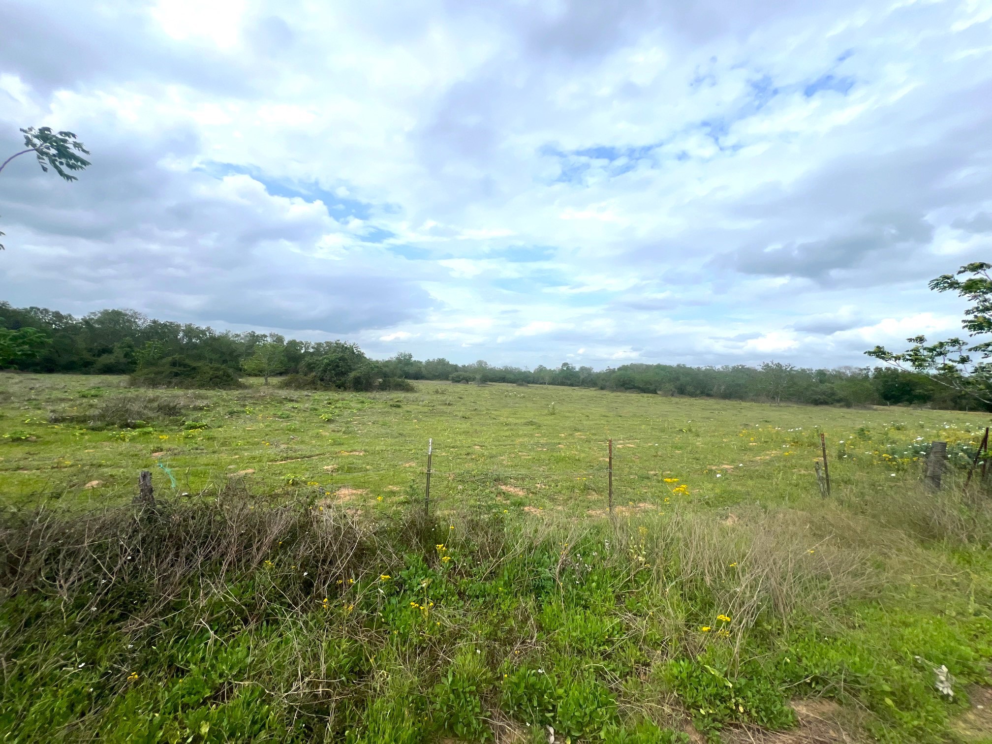 1900 Hluchan Road Sealy, TX 77474 - Photo 4 of 10