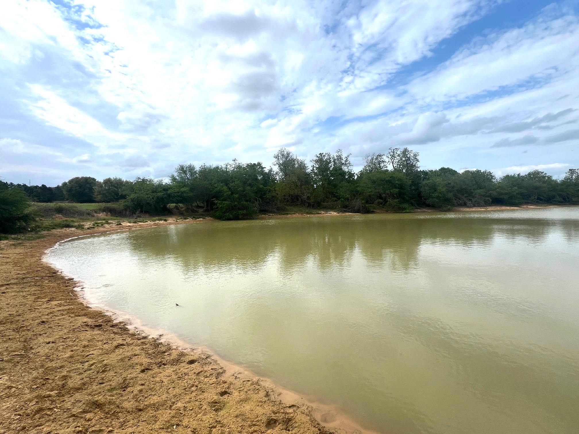 1900 Hluchan Road Sealy, TX 77474 - Photo 7 of 10