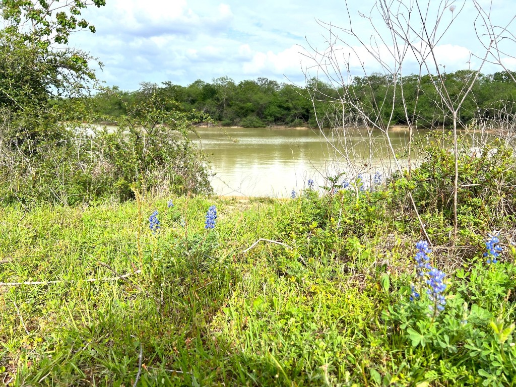 1900 Hluchan Road Sealy, TX 77474 - Photo 8 of 10