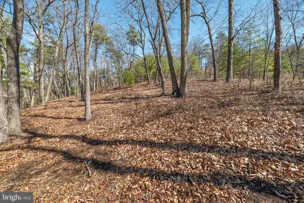 $80,000 | Hunters Ridge Trail, Milam, WV 26838