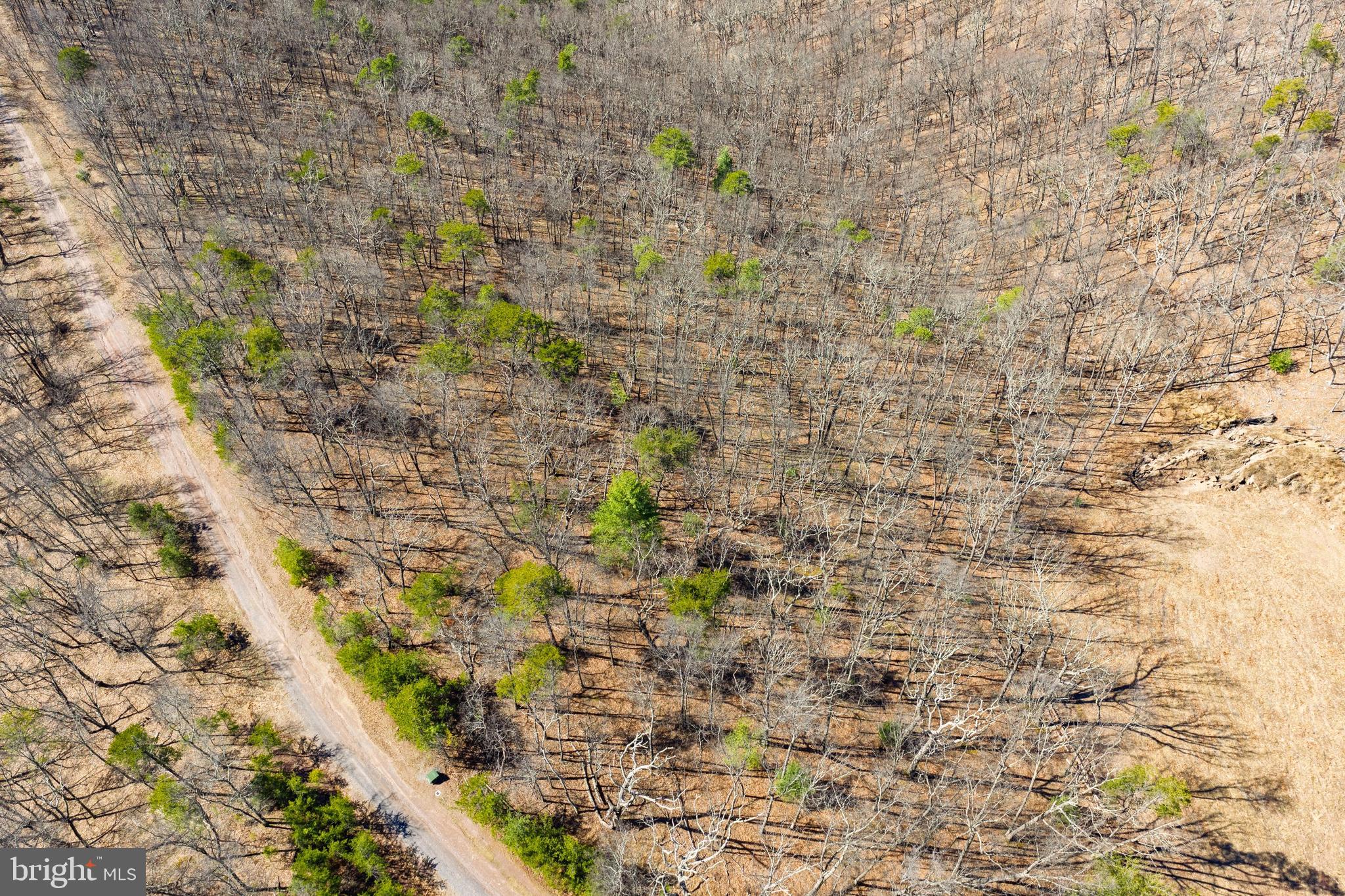 Hunters Ridge Trail Derwood, MD 20855 - Photo 20 of 32