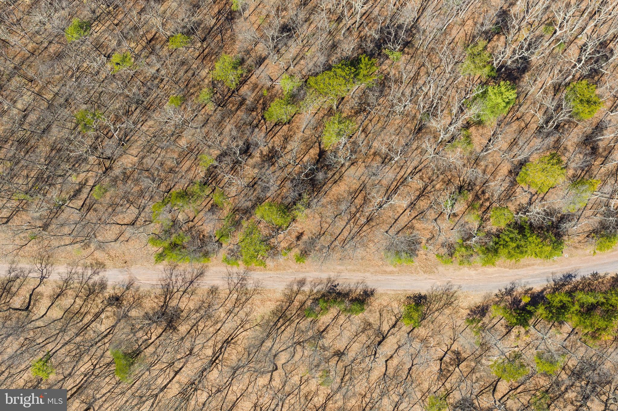 Hunters Ridge Trail Derwood, MD 20855 - Photo 21 of 32