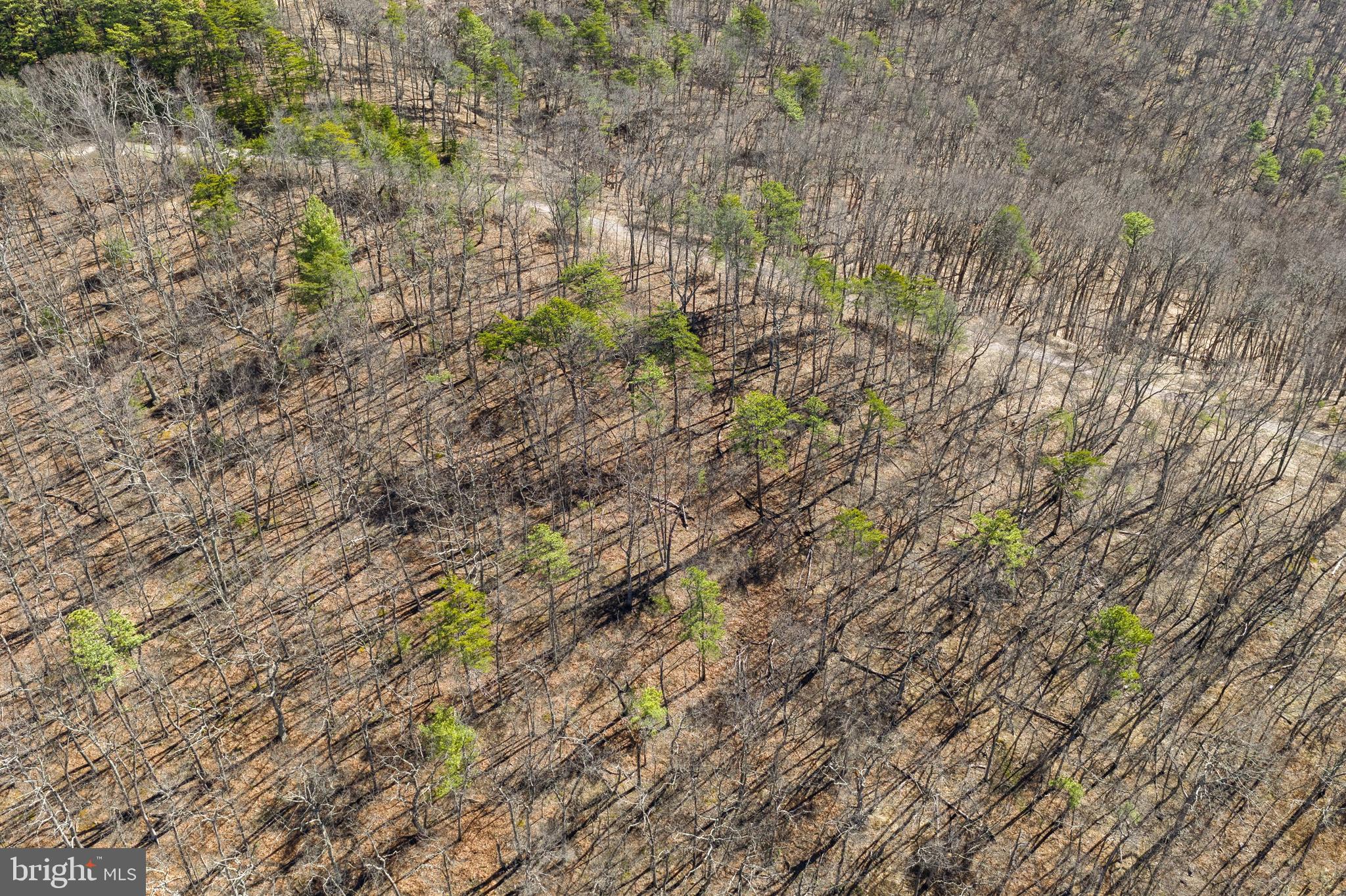 Hunters Ridge Trail Derwood, MD 20855 - Photo 22 of 32