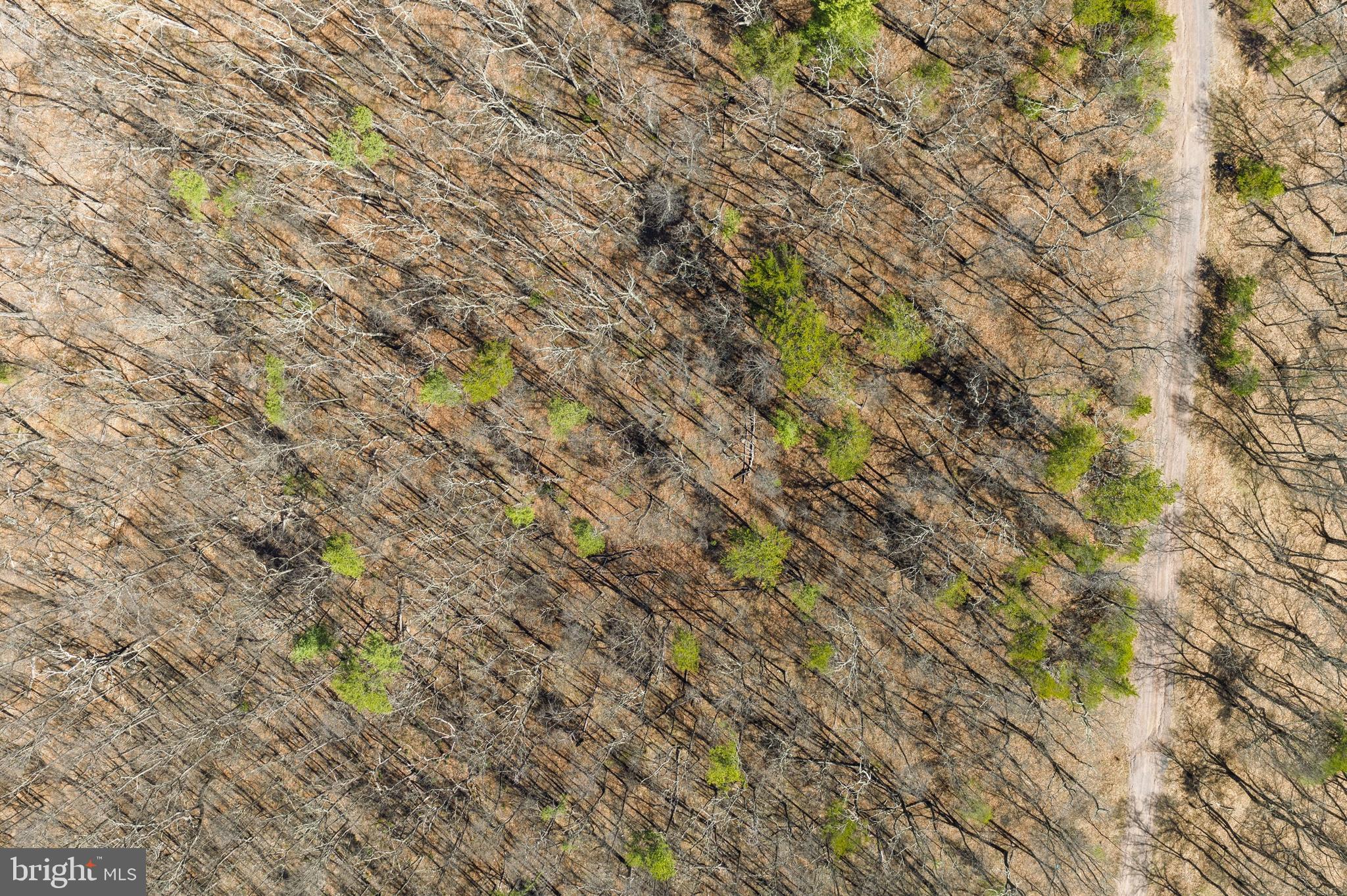 Hunters Ridge Trail Derwood, MD 20855 - Photo 23 of 32