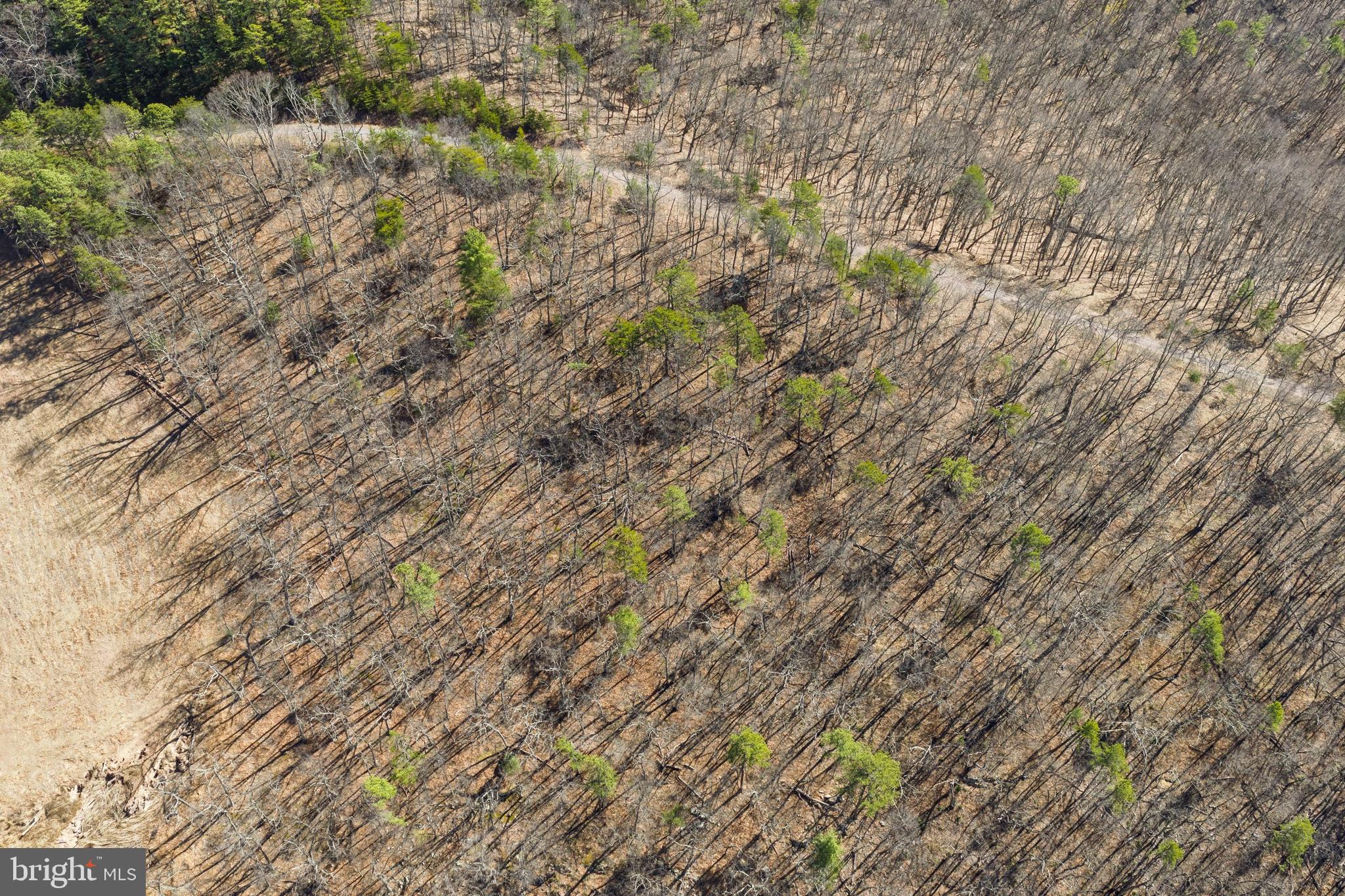 Hunters Ridge Trail Derwood, MD 20855 - Photo 6 of 32