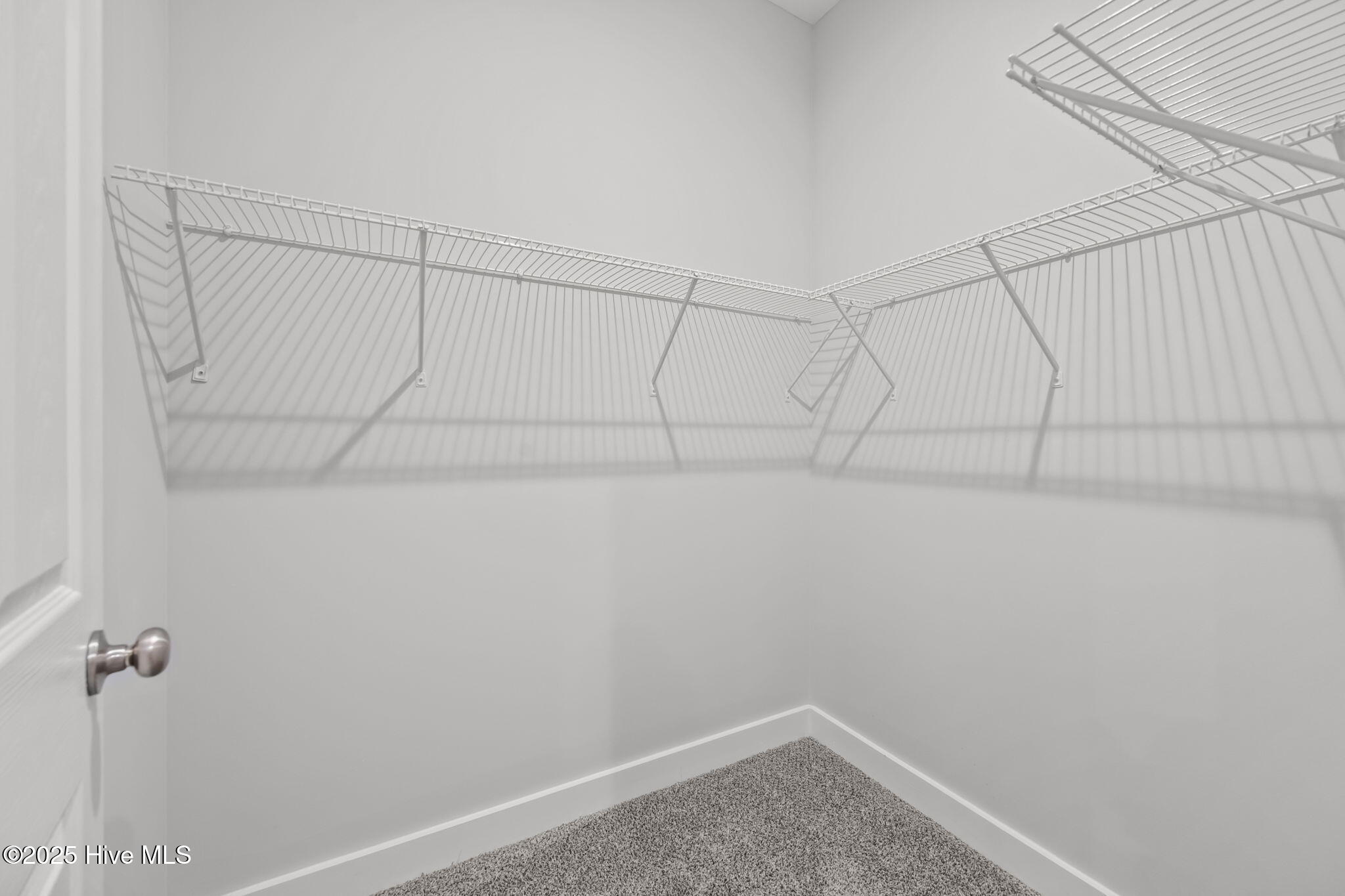 802 Little Cardinal Court Jacksonville, NC 28540 - Photo 28 of 52 24-web-or-mls-_RAD7575