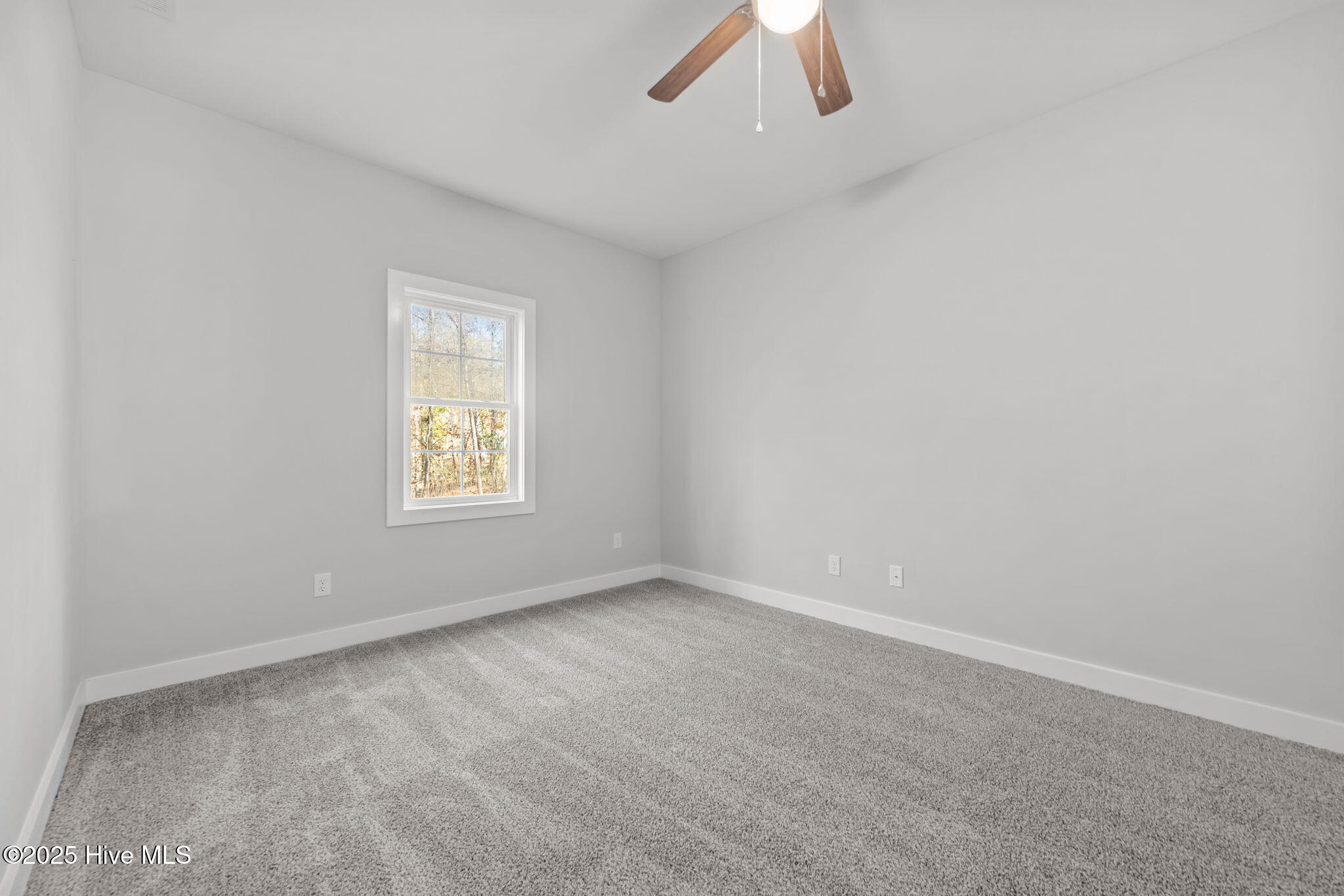802 Little Cardinal Court Jacksonville, NC 28540 - Photo 34 of 52 42-web-or-mls-_RAD7671