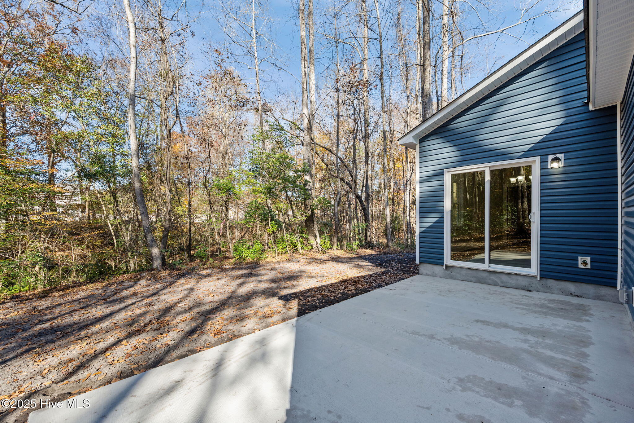 802 Little Cardinal Court Jacksonville, NC 28540 - Photo 42 of 52 9-web-or-mls-09