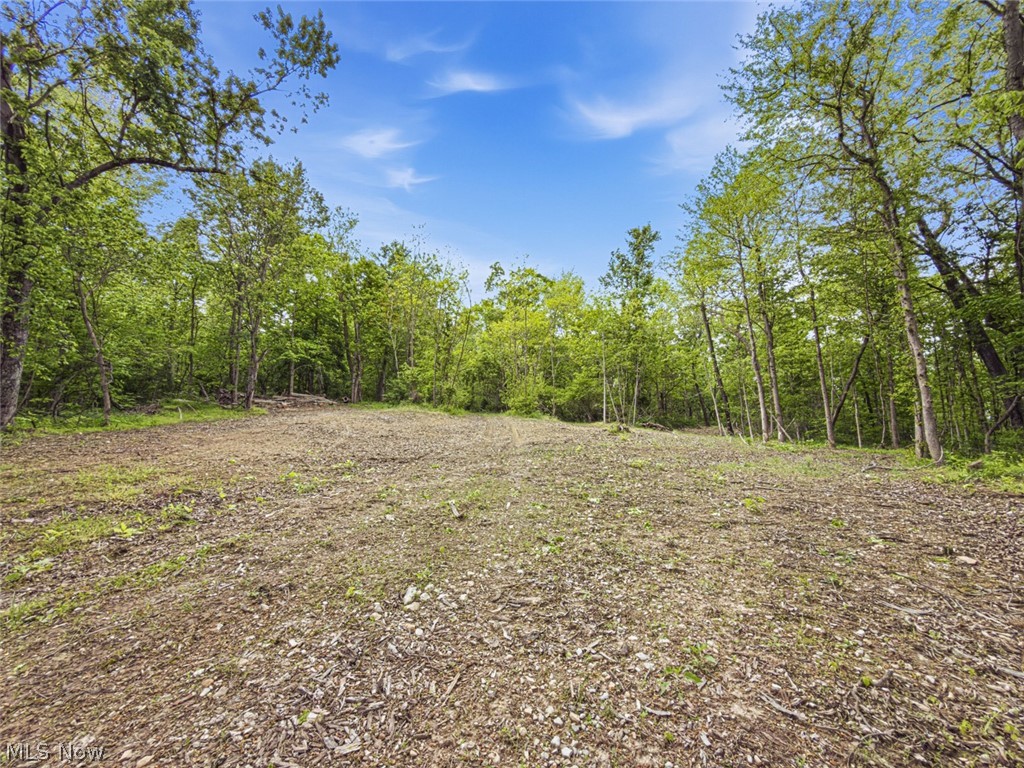 95-acres Newlon Road Malta, OH 43758 - Photo 5 of 18