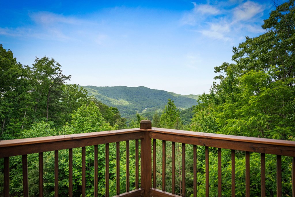 58 Overlook Drive Blue Ridge, GA 30513 - Photo 30 of 67 Gallery Image 30
