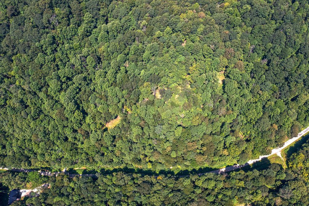 24272 Conrad Road Laurelville, OH 43135 - Photo 15 of 32 15-Aerial-11