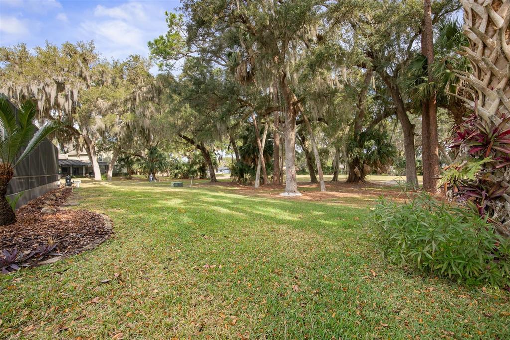 8 Cole Place Palm Coast, FL 32137 - Photo 39 of 81