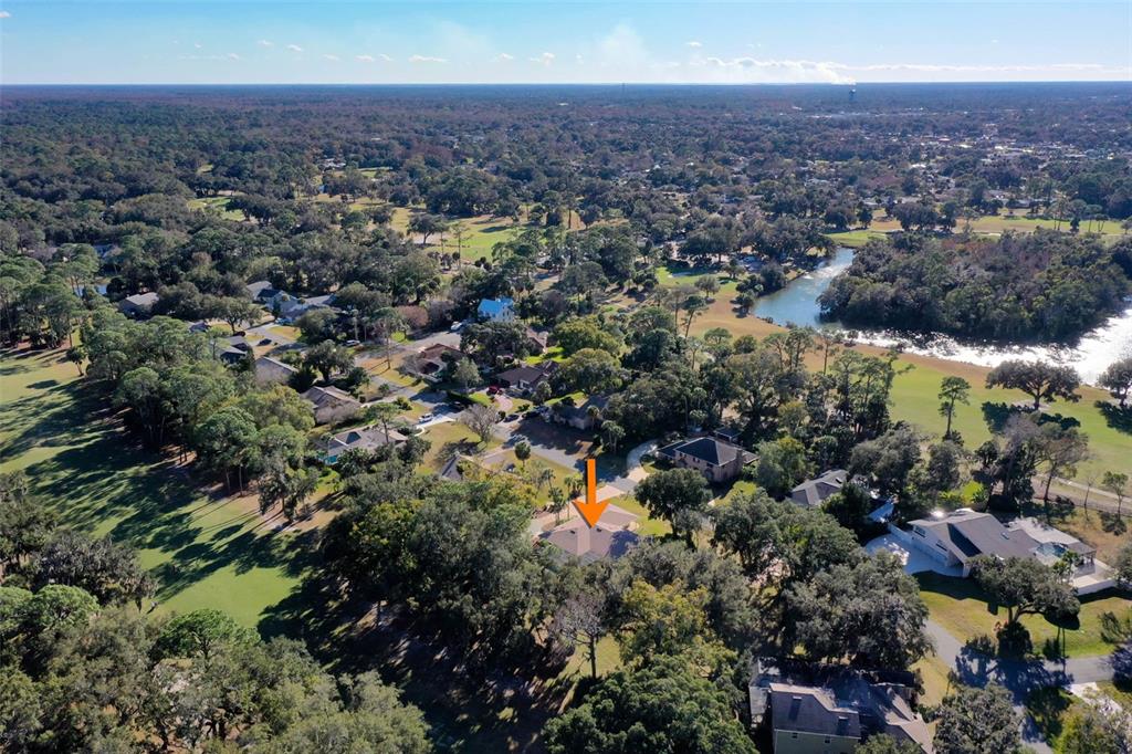 8 Cole Place Palm Coast, FL 32137 - Photo 69 of 81