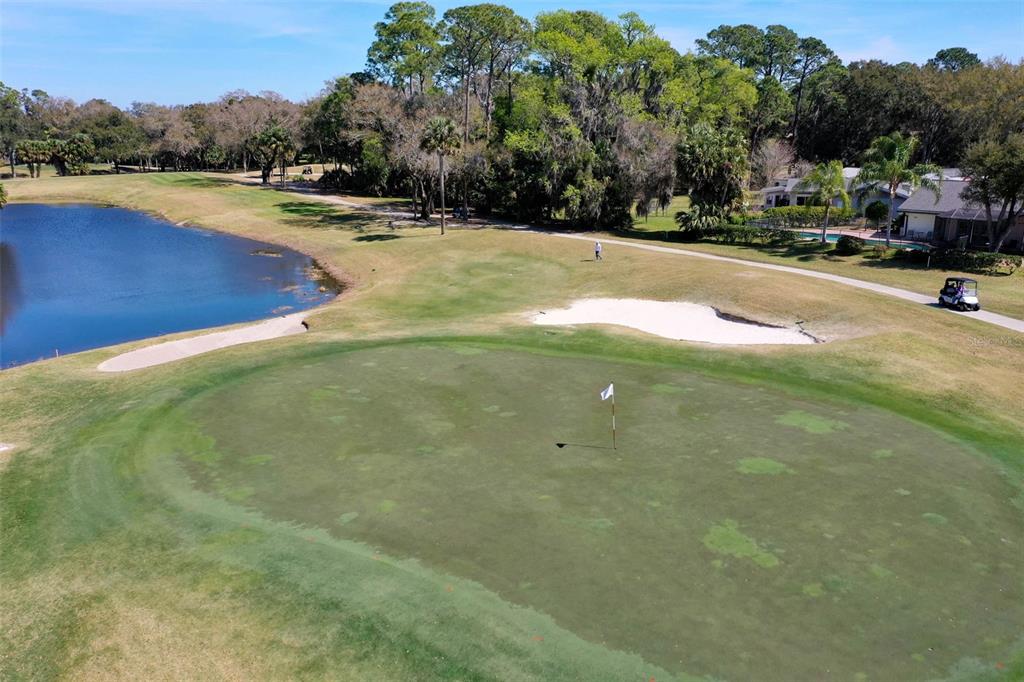 8 Cole Place Palm Coast, FL 32137 - Photo 76 of 81