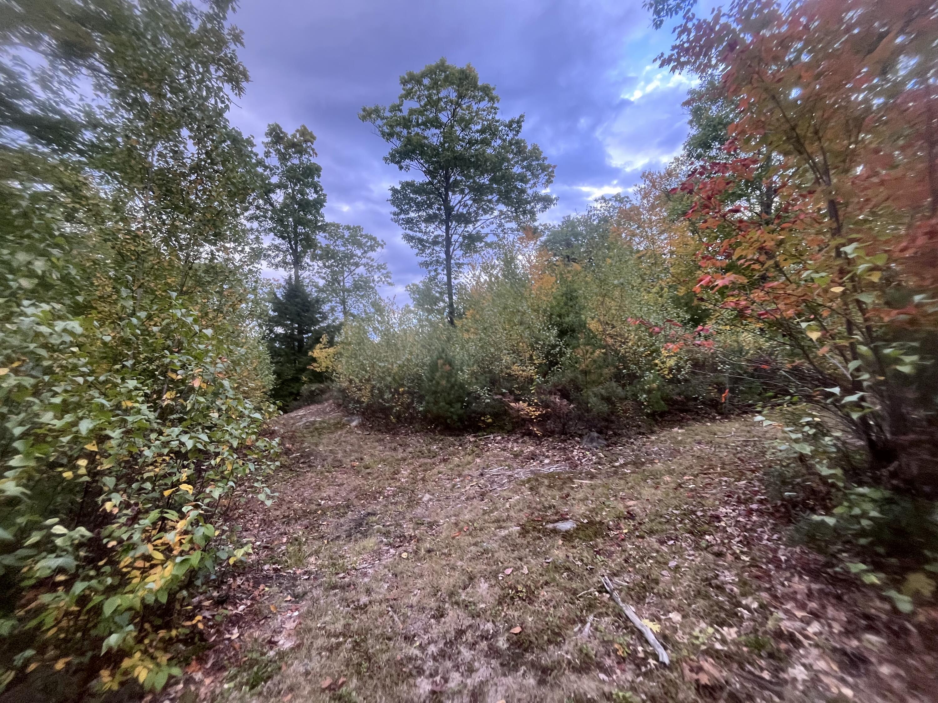 Lot 41 Turtle Trail Alfred, ME 04002 - Photo 10 of 23 IMG_5804