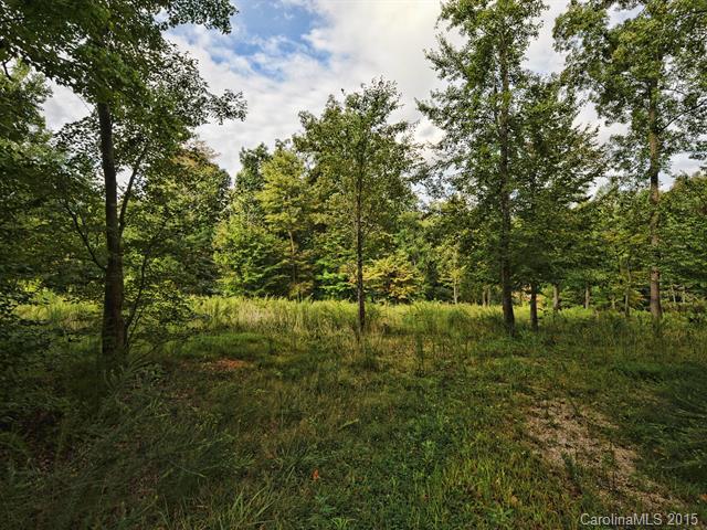 668 Perry Road Troutman, NC 28166 - Photo 16 of 21