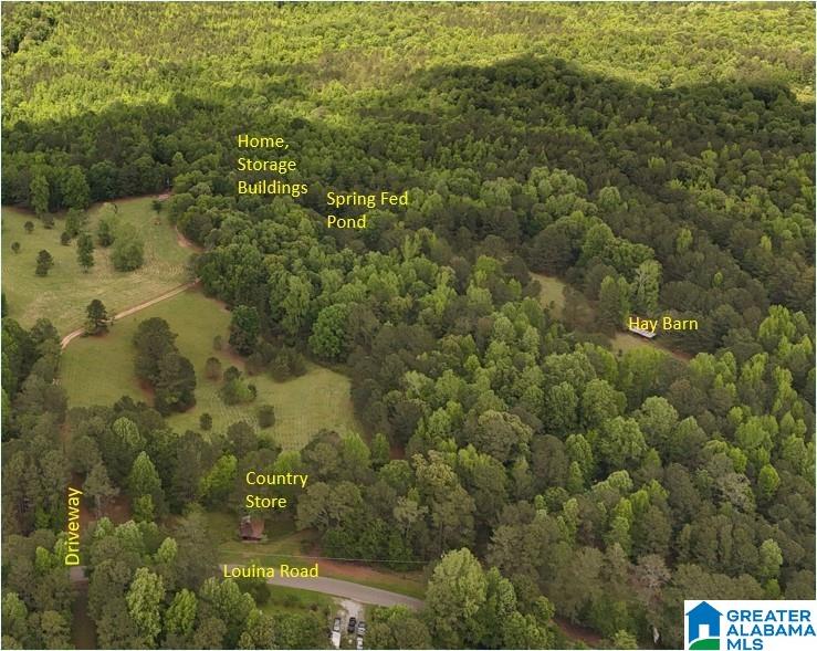 2488 Louina Road Roanoke, AL 36274 - Photo 81 of 97