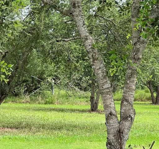 $385,000 | 7391 FM 2546 Road, El Campo, TX 77437