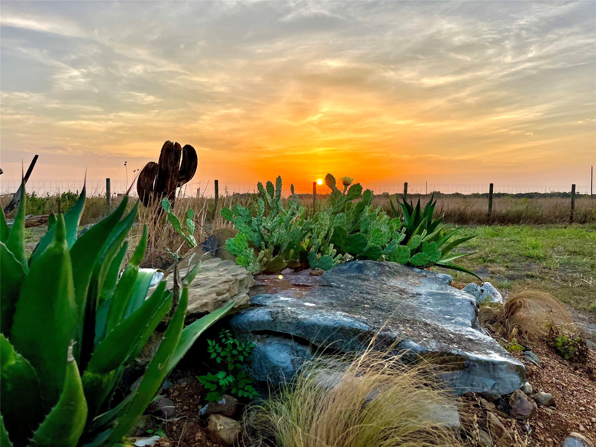 7391 FM 2546 Road El Campo, TX 77437 - Photo 44 of 50 a view of a yard with plants and a lake view