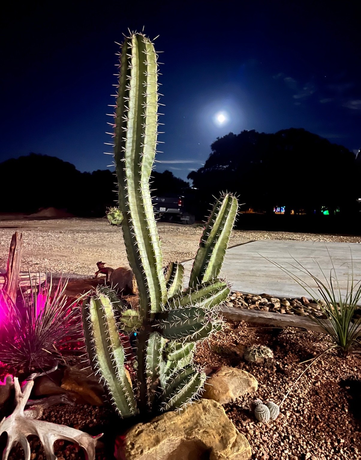 7391 FM 2546 Road El Campo, TX 77437 - Photo 47 of 50 a view of a balcony with chairs