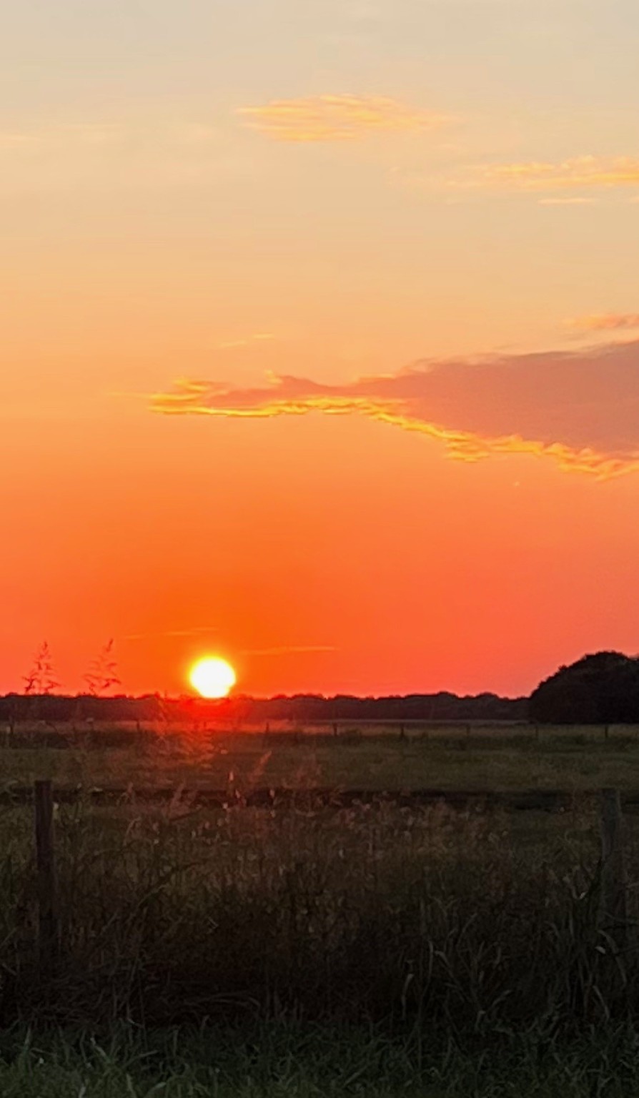 7391 FM 2546 Road El Campo, TX 77437 - Photo 49 of 50 a view of mountain with sunset in background