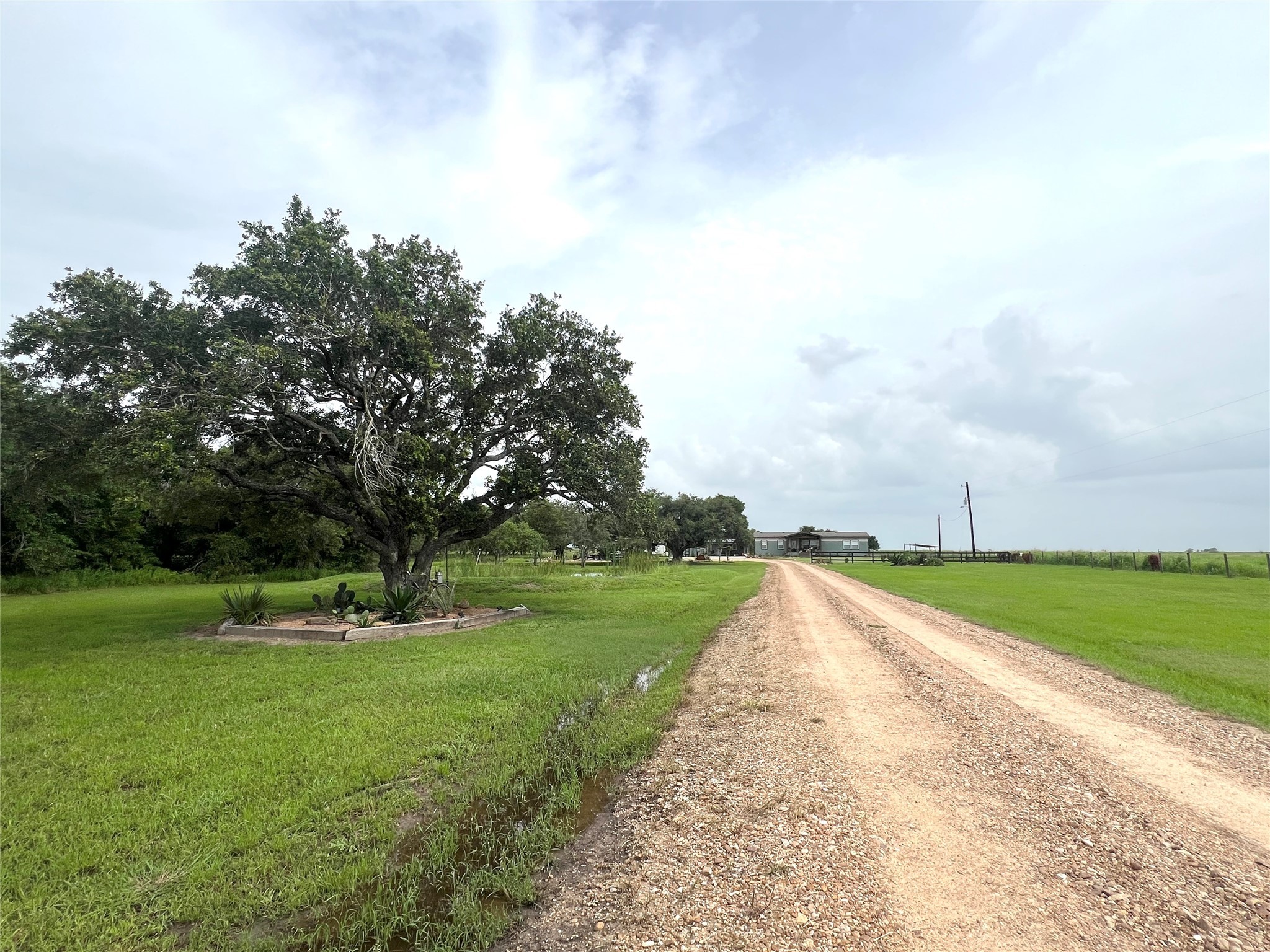 7391 FM 2546 Road El Campo, TX 77437 - Photo 8 of 50 a view of a park and trees in the background