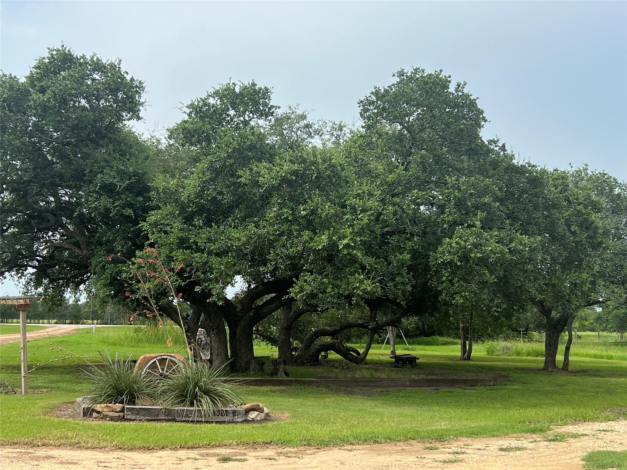 7391 FM 2546 Road El Campo, TX 77437 - Photo 9 of 50 a view of a park with large trees