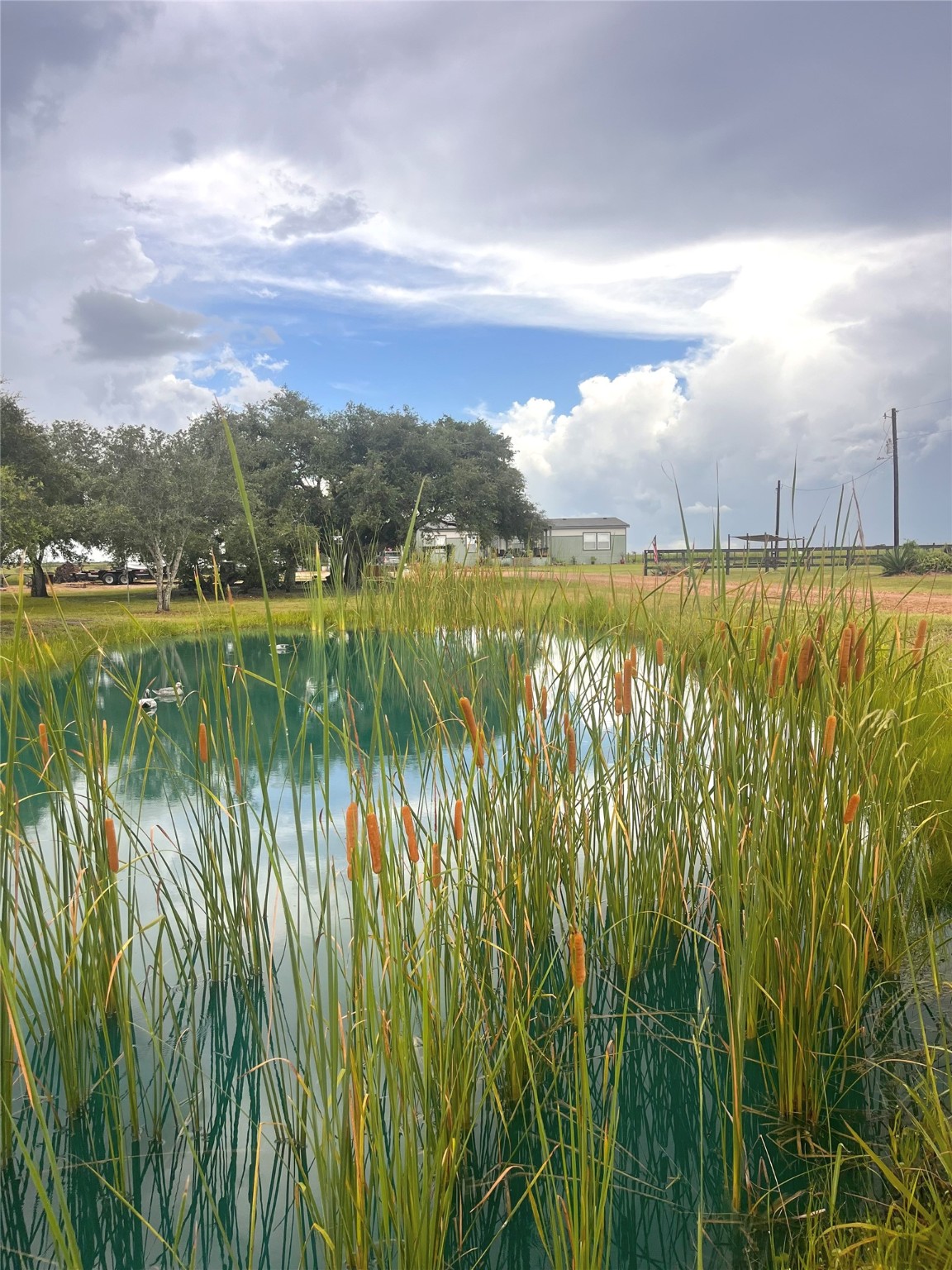 7391 FM 2546 Road El Campo, TX 77437 - Photo 10 of 50 a view of a lake from a yard