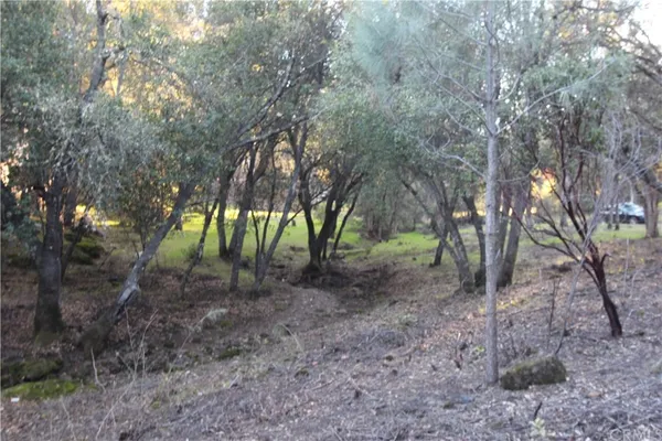 $25,000 | 6157 Armijo Avenue, Clearlake, CA 95422