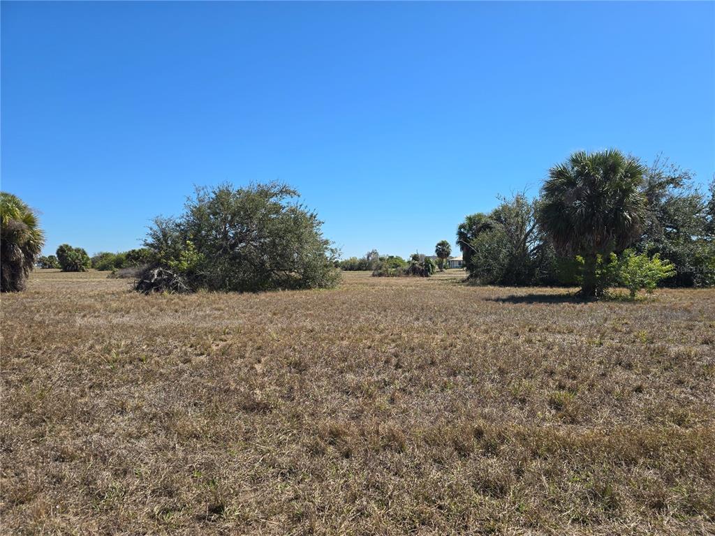 a view of a field with trees in background