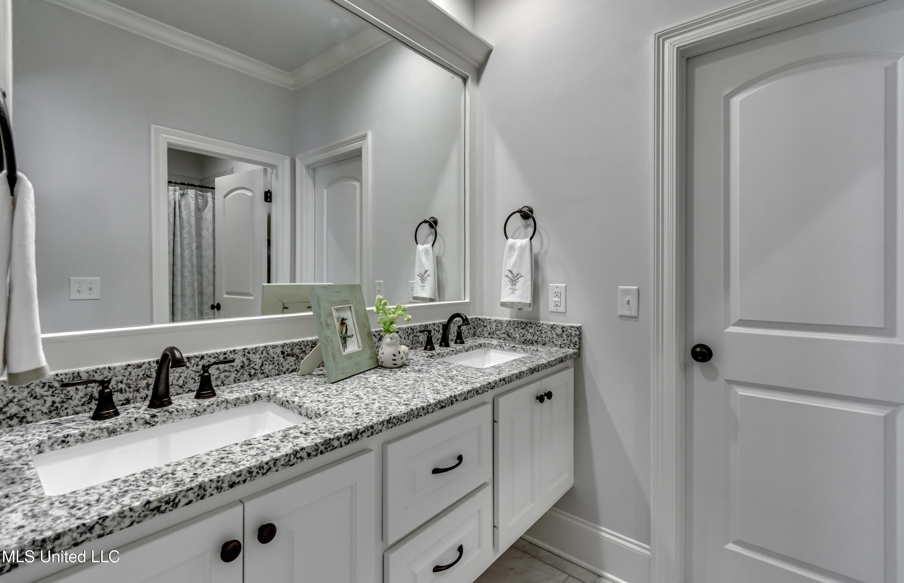 169 Shore View Drive Madison, MS 39110 - Photo 32 of 67 169 Shoreview Dr.--42