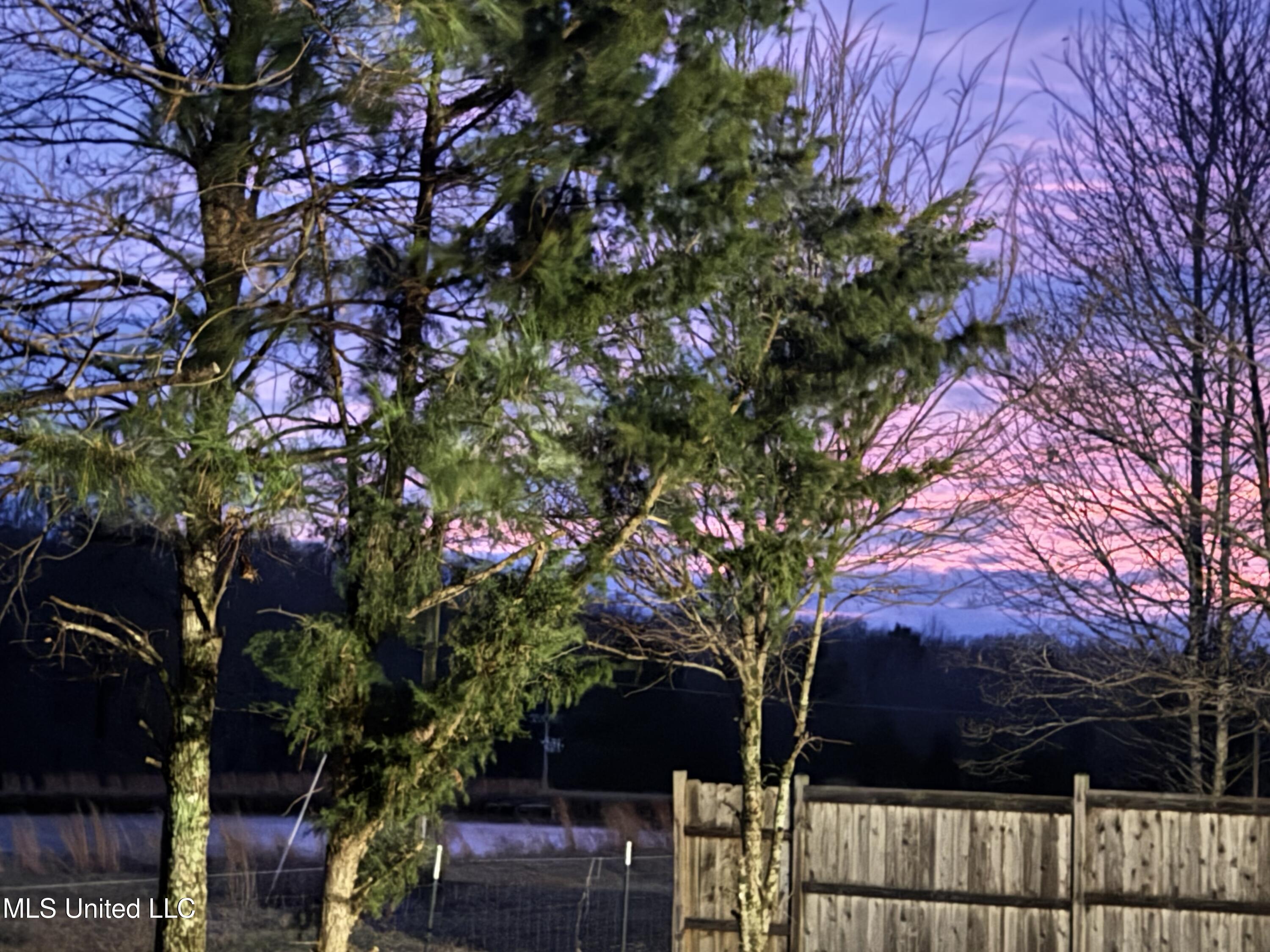 169 Shore View Drive Madison, MS 39110 - Photo 52 of 67 sunset2