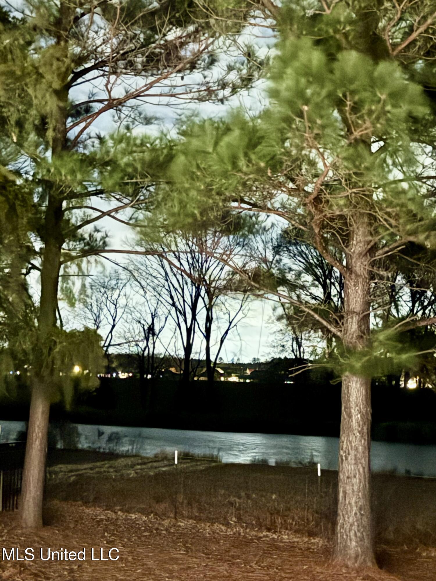 169 Shore View Drive Madison, MS 39110 - Photo 54 of 67 IMG_0828