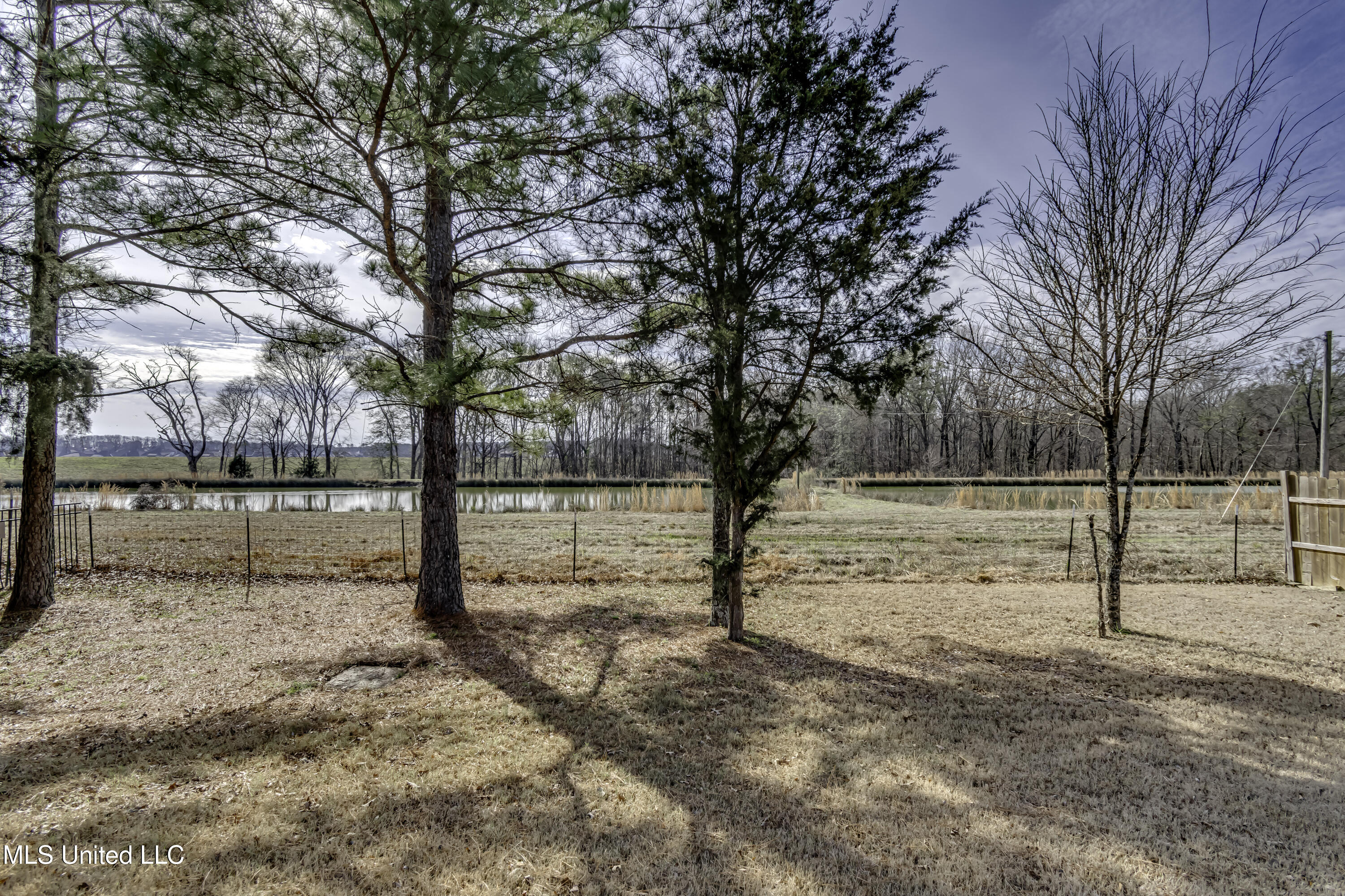 169 Shore View Drive Madison, MS 39110 - Photo 59 of 67 169 Shoreview Dr.--14