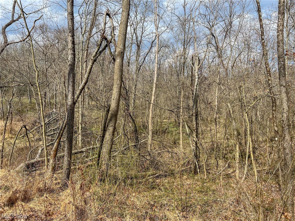 Morgan Road Zanesville, OH 43701 - Photo 6 of 35 Gallery Image 6
