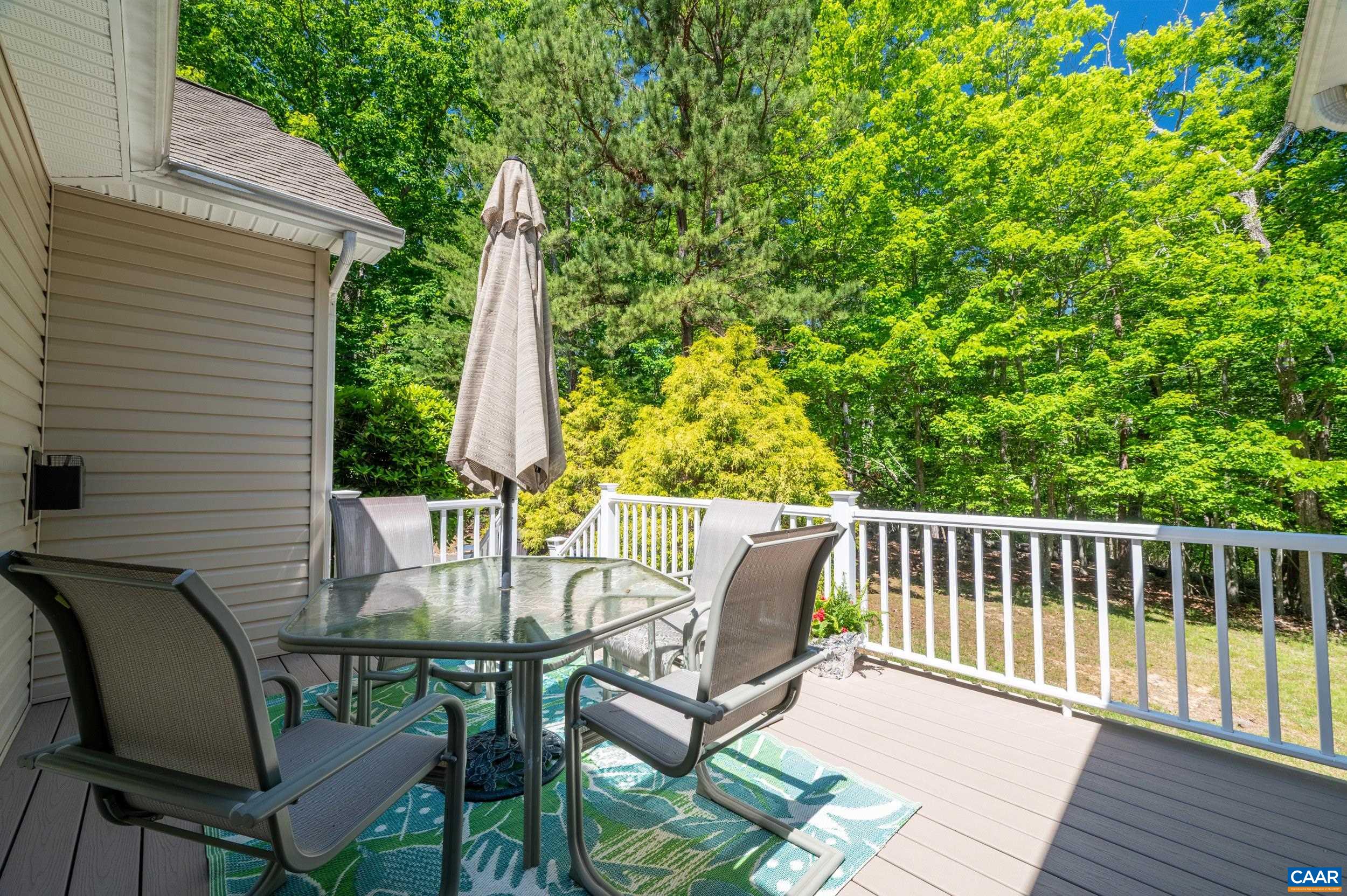 16 Cliftwood Road Palmyra, VA 22963 - Photo 38 of 69