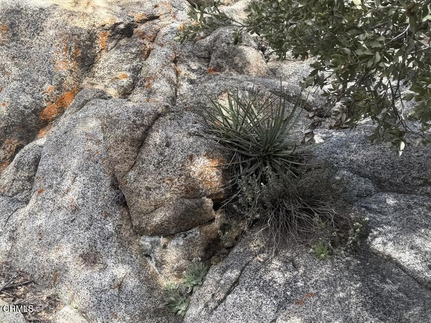 8275 Jawbone Canyon Road Weldon, CA 93283 - Photo 61 of 64 IMG_1591