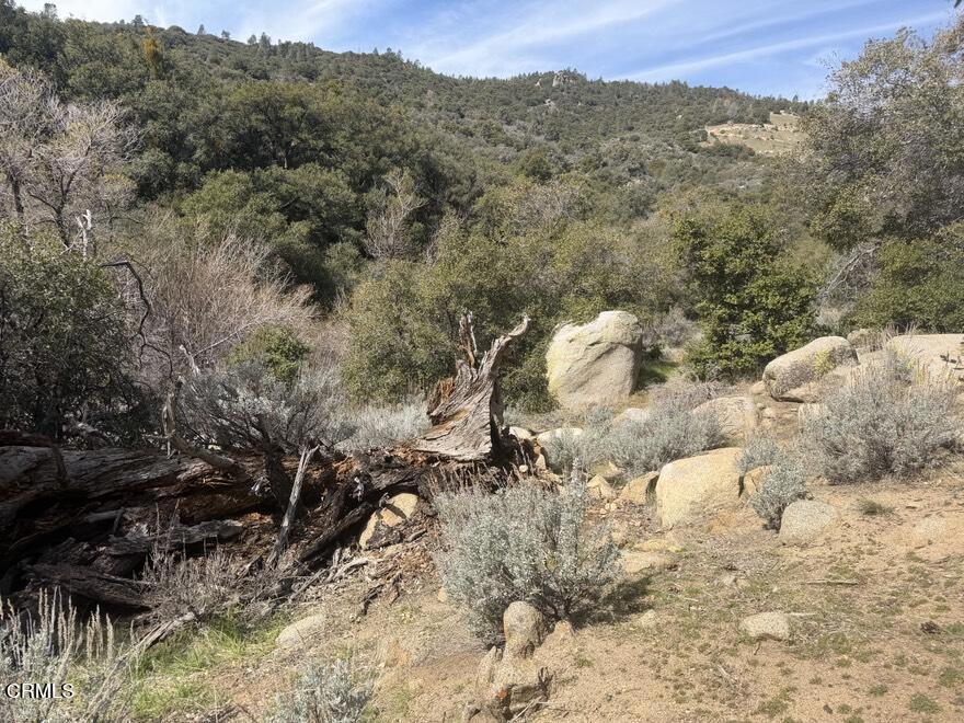 8275 Jawbone Canyon Road Weldon, CA 93283 - Photo 62 of 64 IMG_1545