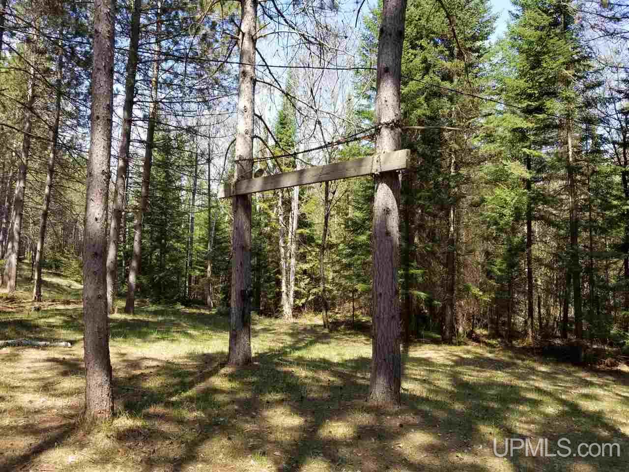 Tbd South Menominee Co Line Road Bark River, MI 49807 - Photo 11 of 13